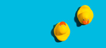 Two Yellow Rubber Ducks On A Blue Background