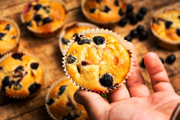 Wall Mural - Hand holding muffins with berry fruit