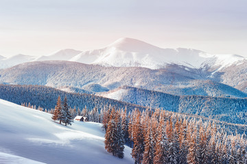 Fantastic winter landscape with snowy trees. Carpathian mountains, Ukraine, Europe. Christmas holiday concept