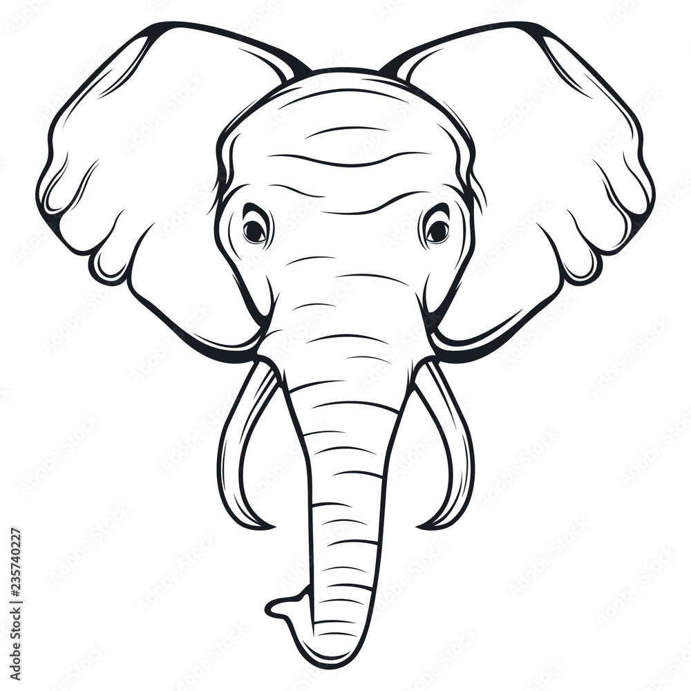 elephant head clipart black and white
