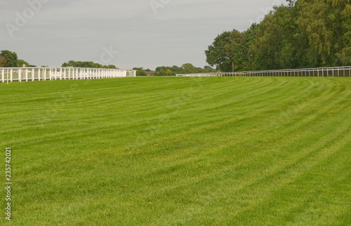 Fotomural Racecourse at Epsom Downs, Surrey, England