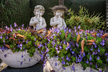 Two Beautiful Flowering Flowers Scales For The Sculptures Of Two Horn Blowing Cherubs
