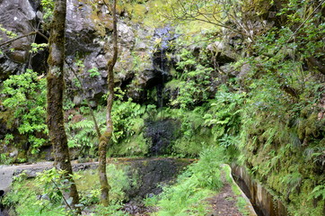 Levada walk from Ribeiro Frio to Portela, Madeira