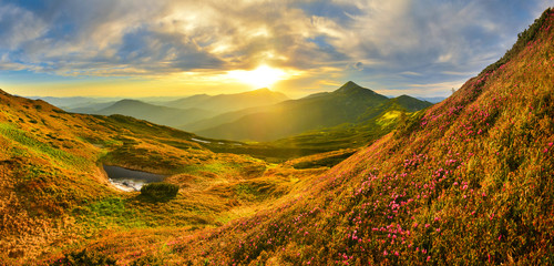 Wall Mural - panoramic view of evening highland with mountain rhododendron