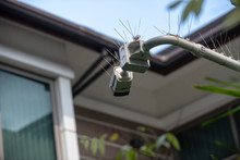 A Cantilevered Modern White Security CCTV Camera With Pigeon Spikes On Top, Pointing And Checking To All Coming Visitors In A Modern House’s Courtyard Area During The Day.