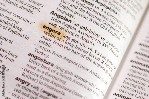 The Word Or Phrase Angora In A Dictionary Buy This Stock Photo