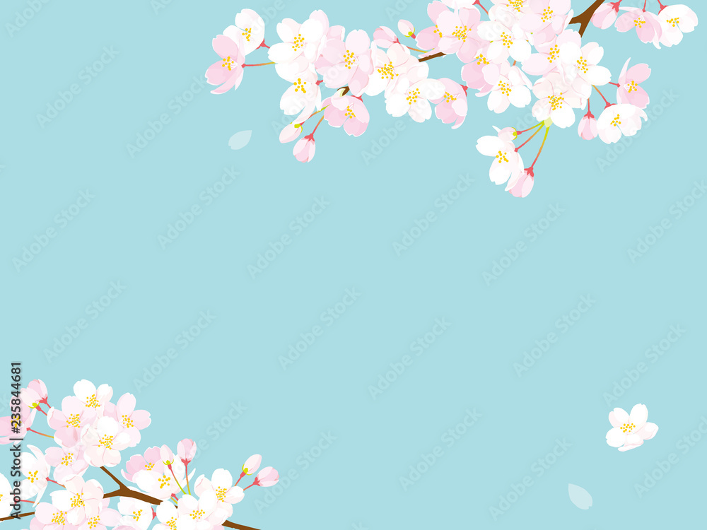 桜 背景イラスト Dcn Gallery 桜 背景イラスト Dcn Gallery