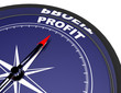 © andrii - 3d compass with text profit . 3d rendered illustration