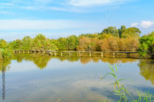 Fotografia, Obraz Elevated footpath over the water in En Afek nature reserve