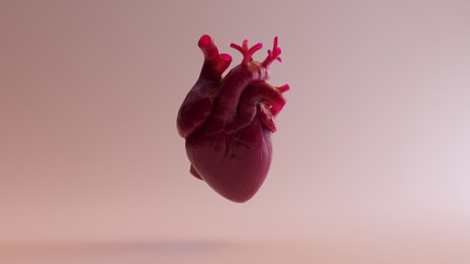 Sticker - Pink Anatomical Heart 3d illustration 3d render