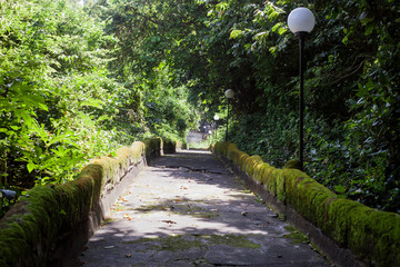 Old road and woods near temple in Bali, Indonesia