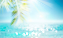 Abstract Blur Defocused Background, Toned Gently Blue, Nature Of Tropical Summer, Rays Of Sun Light. Beautiful Sun Glare On Sea Water And Palm Leaves Against Sky. Copy Space, Summer Vacation Concept.