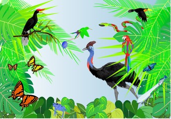 Wall Mural - Jungle vector scene background, osctrich bird, in the  center, wildlife theme, butterflies