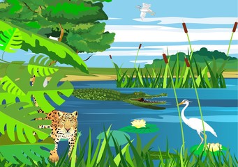 Wall Mural - Wetlands, on the lake, vector landscape, jaguar, american pantanal