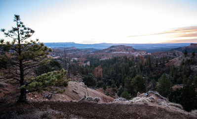 Canvas Print - Bryce Canyon 