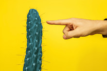 Cactus Fashion Set Design. Minimal Stillife. Trendy Bright Colors. The Green Plant On Yellow Background And Male Finger