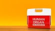 © Talaj - Cooler for human organ on orange background