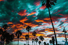 Colorful Clouds Hovering Over Palm Trees