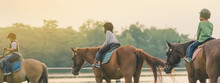Kids Learn To Ride A Horse Near The River Before Sunset.