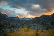 © Ryan Longnecker - Colorful trees with snow covered mountains in the distance