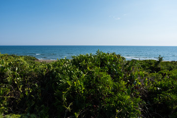 Green dunes with blue sea water background on a sunny day.