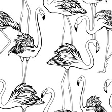 Exotic Flamingos Flamboyance Group Gathering Seamless Pattern. Black White Outline Sketch Drawing. Wading Bird Species Feather Realistic Detailed Vector Design Illustration. Standing Moving Posture.