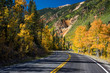 Fall Colors on Red Mountain Pass