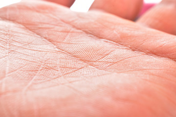 Wall Mural - male hand close up showing just his skin , macro detail image