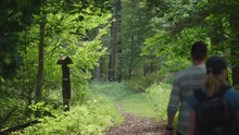 Hiking Through Bialowieza Forest In Poland