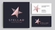 Star logo vector. Universal abstract logo with a star symbol for any business. Star sign - a leader, success and power.