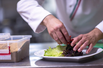 Wall Mural - chef serving vegetable salad