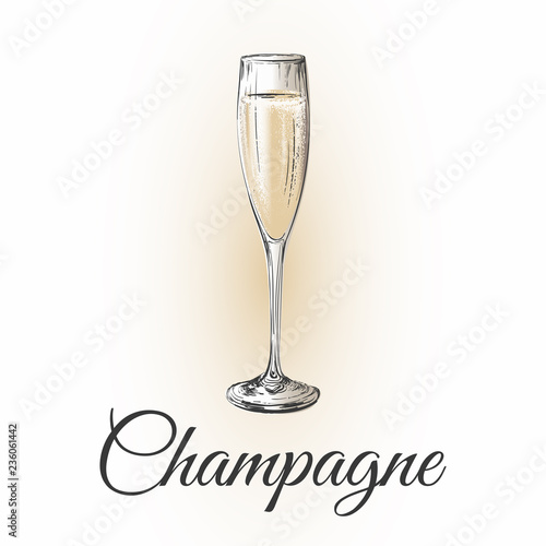Tela Champagne Glass Hand Drawing Vector Illustration Bubbles