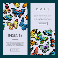 Wall Mural - vector decorative butterflies web banner templates illustration. insects beauty poster with text