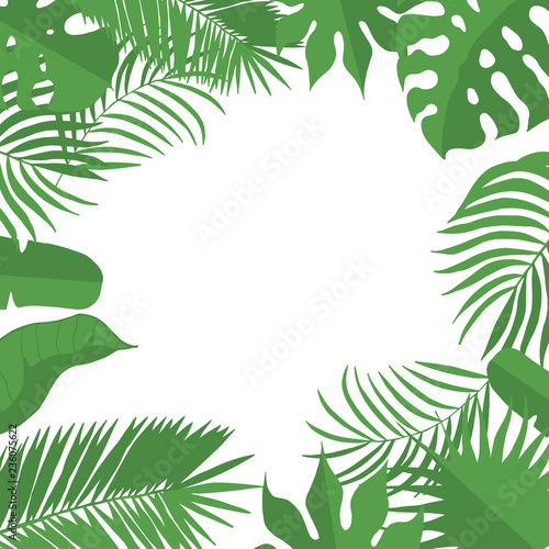 Hand Drawn Tropical Leaves Weddiing Frame Aralia Monstera Banana Palm Leaf Border For Invitation Card Vector Isolated Illustration Buy This Stock Vector And Explore Similar Vectors At Adobe Stock Adobe Stock Hand Drawn Tropical Leaves Weddiing Frame Aralia Monstera Banana Palm Leaf Border For Invitation Card Vector Isolated Illustration Buy This Stock Vector And Explore Similar Vectors At Adobe Stock Adobe Stock