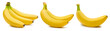 Leinwandbild Motiv Bunch of bananas isolated