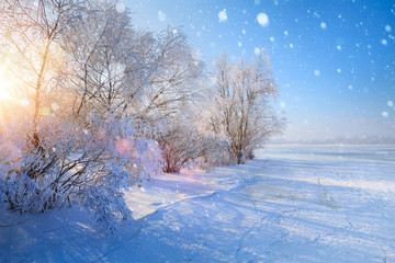  Christmas winter Landscape; Frozen lake and snowy trees