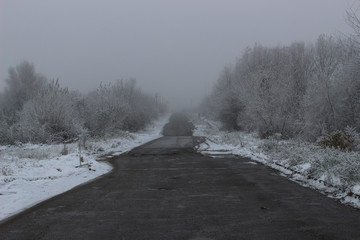 Wall Mural - Road in the winter