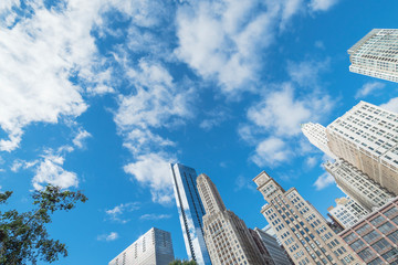 Wall Mural - Look up view of typical skyline office building in Chicago downtown against cloud blue sky