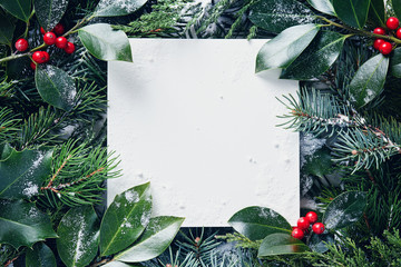 Wall Mural - decorative frame of christmas tree branches and holly berries with snow.