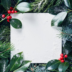 Wall Mural - decorative frame of christmas tree branches and holly berries with snow.