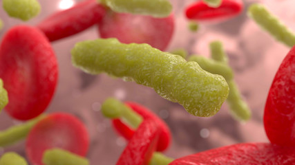 Wall Mural - bacteria and blood cells under microscope