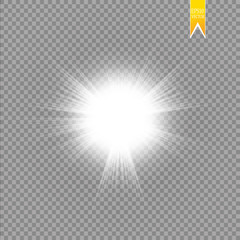 Sun isolated on transparent background. Vector illustration