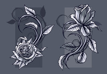 Graphic Detailed Graphic Black And White Roses Flower With Stem And Leaves. On Gray Background. Vector Icon Set. Vol. 9