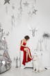 © innarevyako - Beautiful long-legged model girl in the fashionable red dress sits on the chest of drawers near the silver Christmas tree and posing with cute Samoyed dog at white interior decorated for New Year