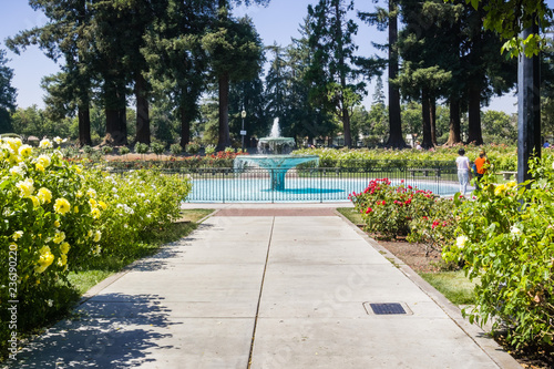 Paved Alley Lined Up With Blooming Roses And Water Fountain In The
