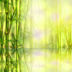 Bamboo forest with reflection in water spa background. Watercolor illustration with space for text