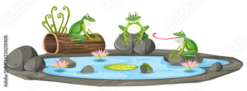 Isolated frog in the pond Tableau sur Toile