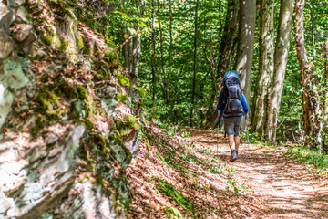 Man with huge baby backpack Hiking in the forest on a sunny day in nature