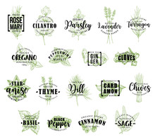 Herb And Spice Icons With Lettering, Vector