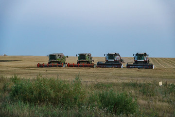 Wall Mural - harvesters after work in the evening in the field